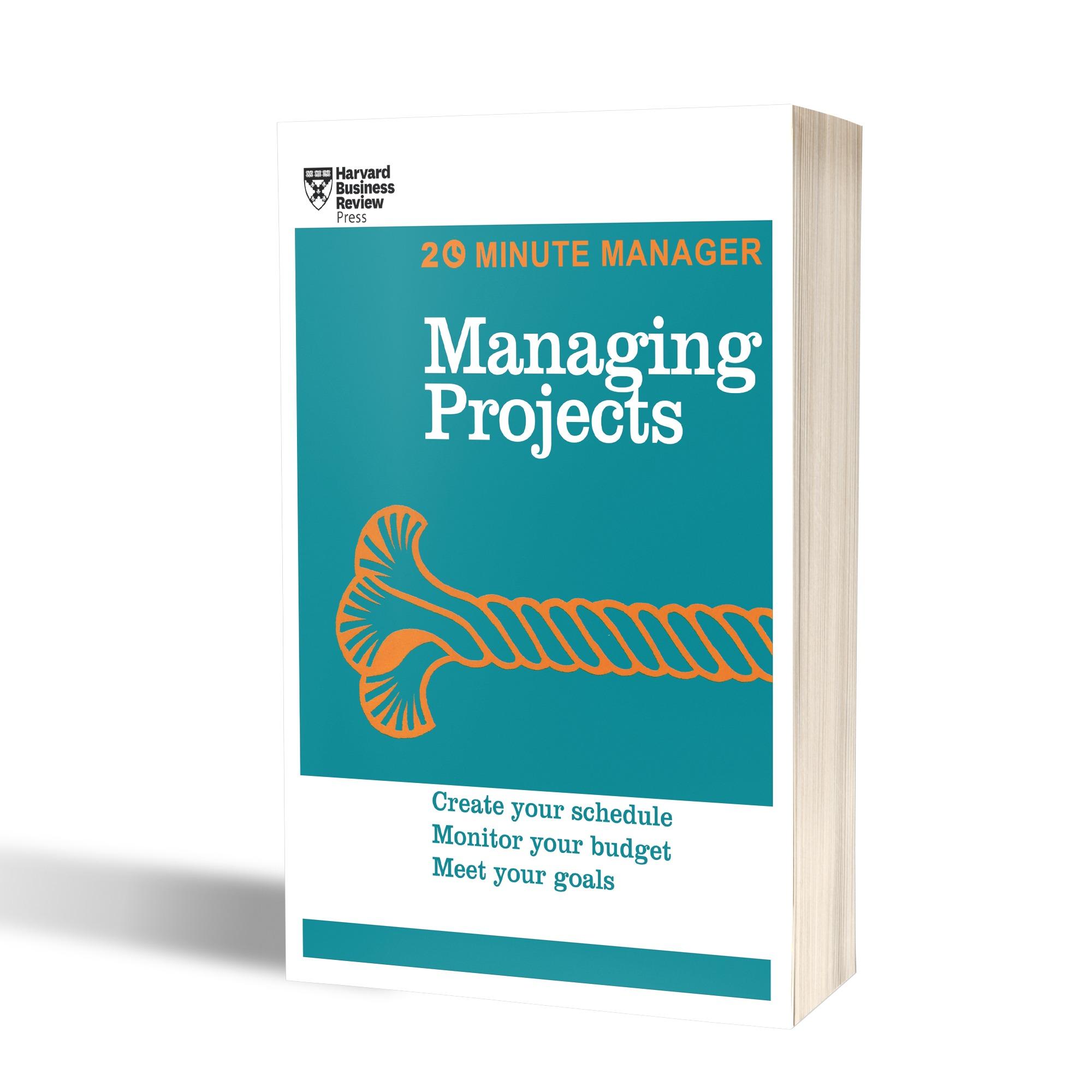 Managing Project