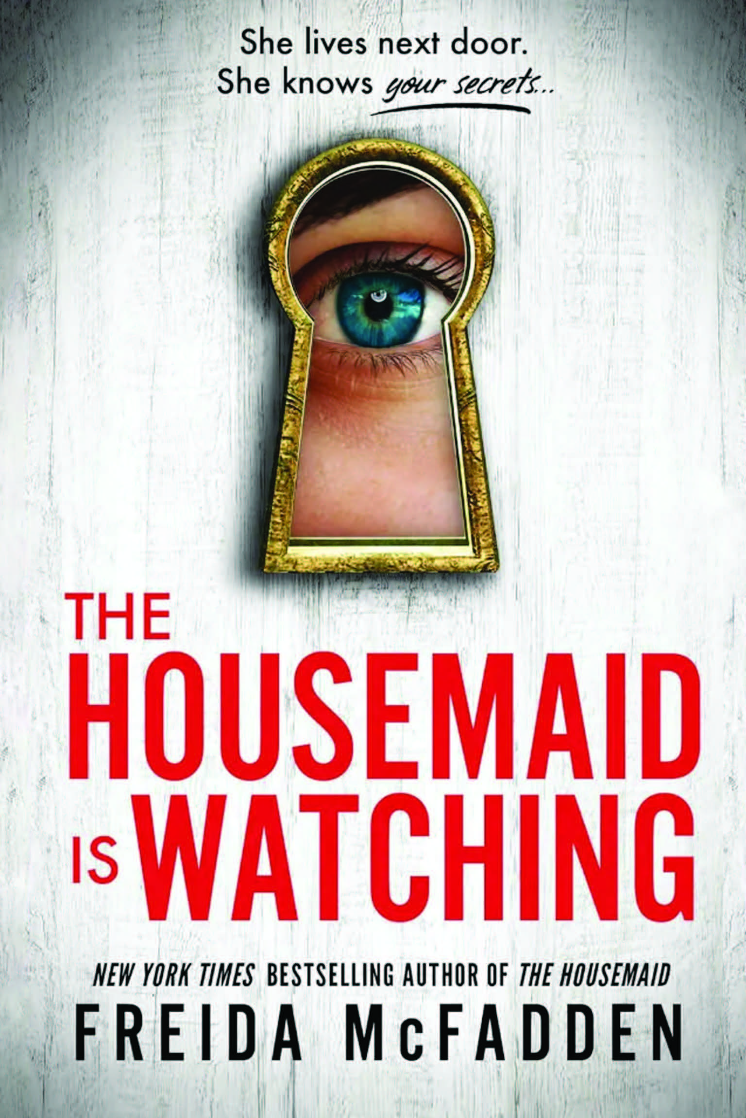 The Housemaid Is Watching - 3